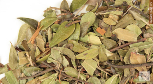 UVA LEAF 50 GR