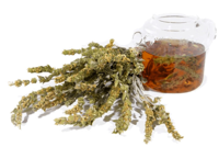 MOUNTAIN HERBAL TEA 50 GR